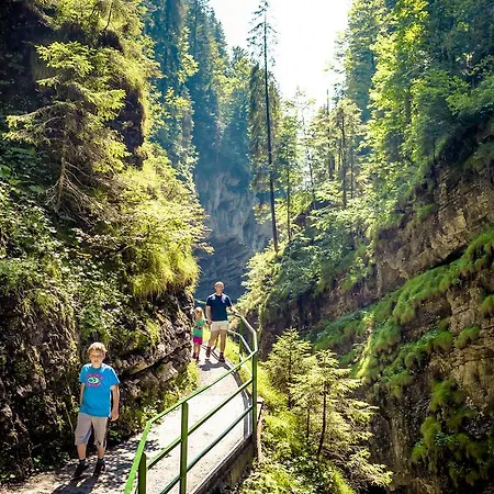 Djh - Membership Required! *